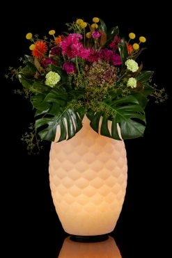 Blitzangebot 💯 Joouls THE JOOULY Limited 65 👏 -Stelton Shop 4004223020506 4004223020506 3