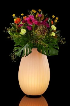 Rabatt ⌛ Joouls THE JOOULY 50 ✨ -Stelton Shop 4004223020544 4004223020544 3